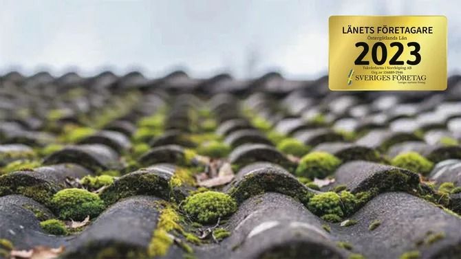 Slipp mossa, alger och bekymmer med hjälp av LA Takvård