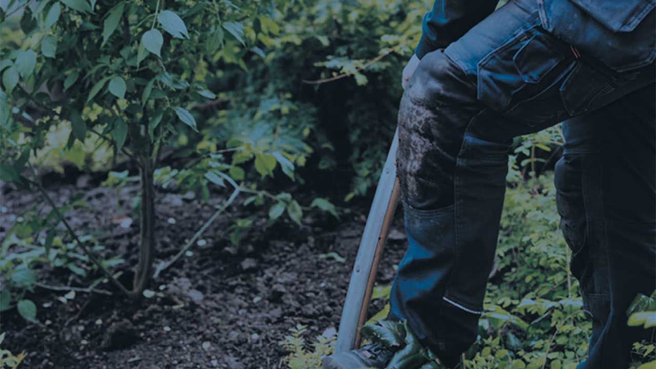 Komplett fastighetsförvaltning och fastighetsservice