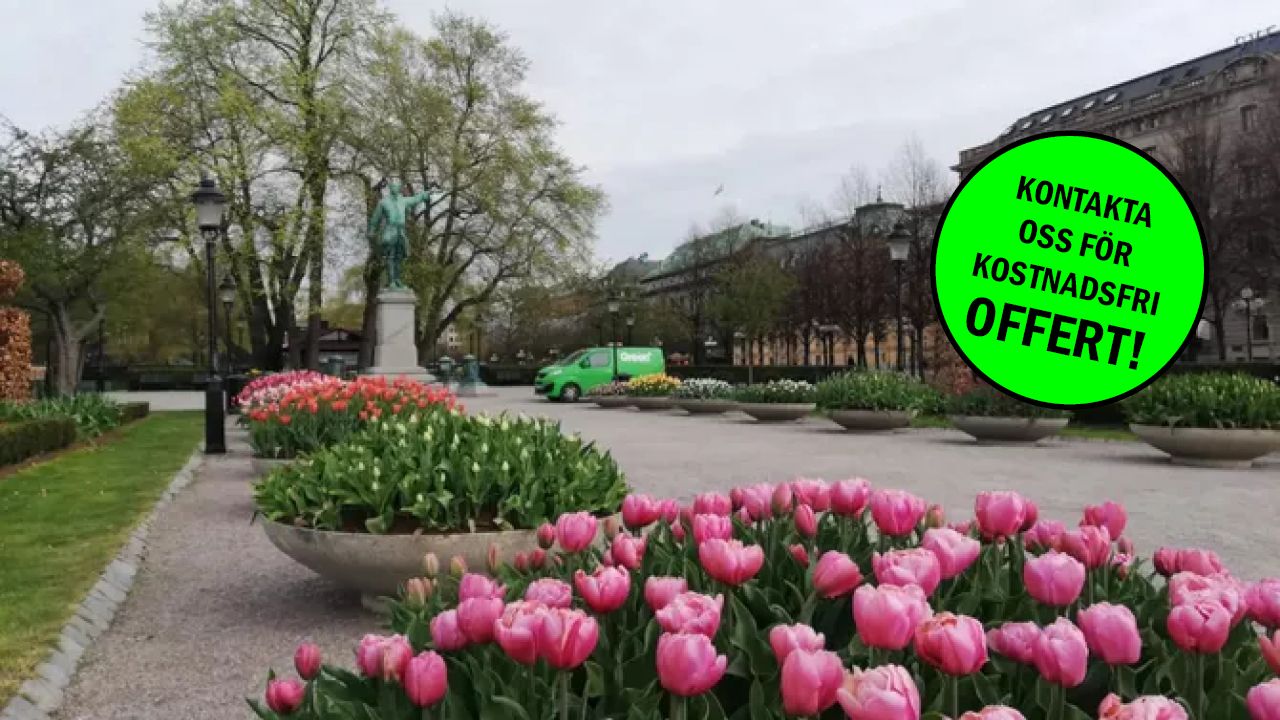 Vi skapar levande utemiljöer i Stockholm